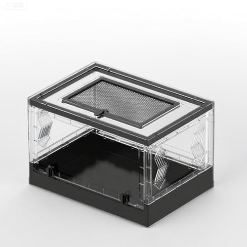 Terrarium reptile facile à transporter pour simplifier l'élevage