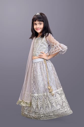 Image of Girl's Princess Lehenga Choli Set - Soft Net, Ribbon Embroidery With Duppata, Readymade