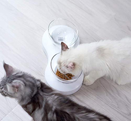 Laifug Elevated Double Cat Dog Food Water Bowls,Tilted Pet Raised Bowls with Stand for Cats and Small Dogs,Food Grade… - Image 6