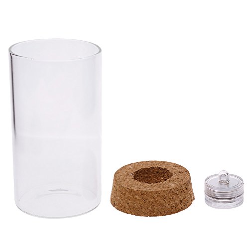 Wxlaa Glass Plant Terrarium With Colorful Led Light Tabletop Glass Planter For Succulent Water Planting Jar Grow Hydroponic Plants Office Home Decoration 12Cm #TOP1