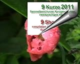  9 Kurze 2011 (zweisprachiges eBuch 11)