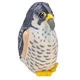AUD II PEREGRINE FALCON (4/96)