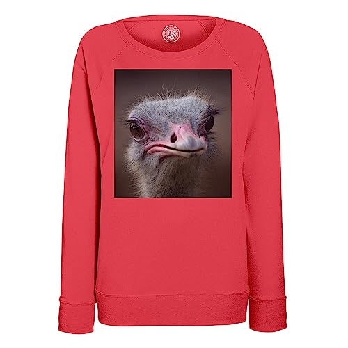 Sweatshirt Femme Gros Plan D'Autruche Vie Sauvage en coton bio décontracté