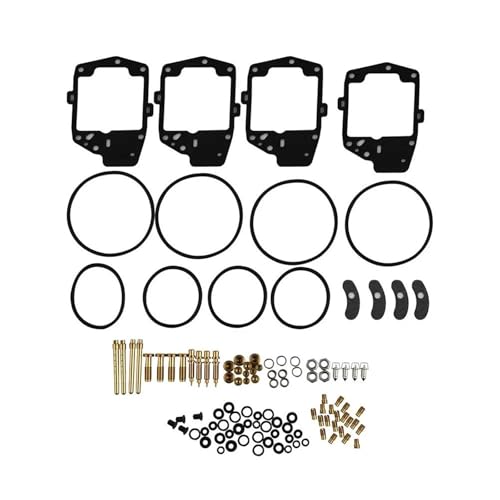 Kit Réparation Carburateur GL1000 Honda de 1978 à 1979