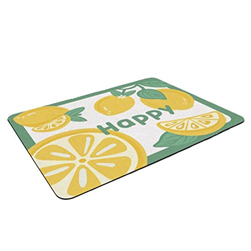 LAKEMON Tapis égouttoir à Vaisselle résistant à la Chaleur, Tapis égouttoir antidérapant Sec, Tapis égouttoir à Vaisselle Absorbant, Tapis de séchage à Vaisselle pour la Cuisine (H,30 * 40cm) Cover