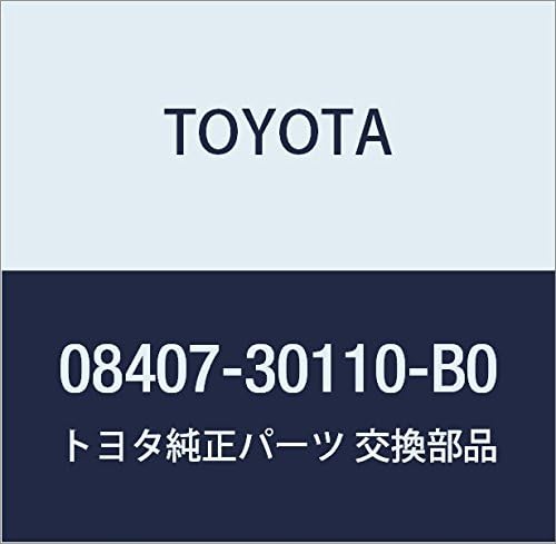 TOYOTA (toyota) Genuine Parts nanba-hure-muhuronto・riyasetto Part Number 08407 – 30110 – B0