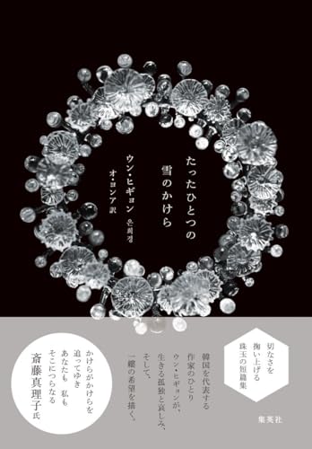 たったひとつの雪のかけら ウン・ヒギョン オ・ヨンア 集英社