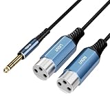 Tisino 2 XLR-Buchsen auf 6,3mm TRS Y-Kabel (2 m) Stereo-Breakout-Adapter für Mischpulte, Audio-Interfaces, Keyboards & DJ-Equipment