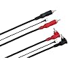 Hosa CRA-203DJ Stereo Interconnect, Dual RCA to Dual Right-angle RCA with Ground Wire, 9.8 Feet