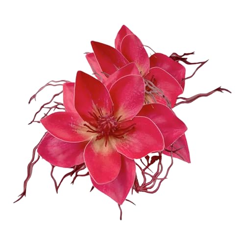 KMGDM K[Y wANbv   q wAObv lHwbhhX ob^  ` Â 2000N ̎q wAs