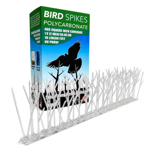 Aspectek Bird Spikes, 10 ft Plastic Pigeon Deterrent for Outdoor Ledges, Polycarbonate Durable Spikes for Crows, Seagulls and Small Birds