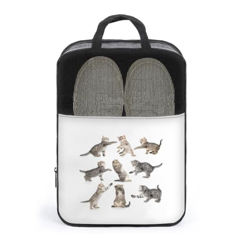 V[YP[X 킢 lR L V[YobO V[Y|[` V[Y gx|[` C  V[Y o s y ^тɕ֗ [obO ւ jp AEghA o s v[g