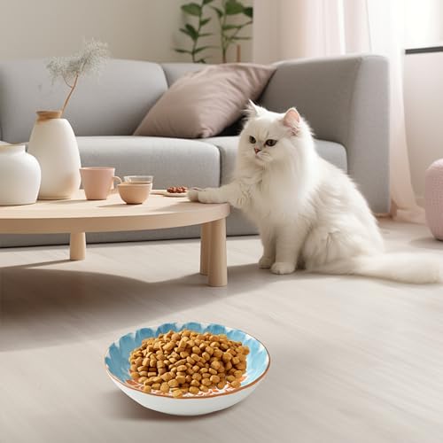 Katzennapf, Flache Futternapf Katze, Set von 6 bunten Katzen Futternapf. Katzennapf Flach, 5,5 Zoll Katzennäpfe, Fressnapf Katze geeignet für Wasser, Trockenfutter und Nassfutter