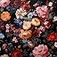 Colorful Flowers