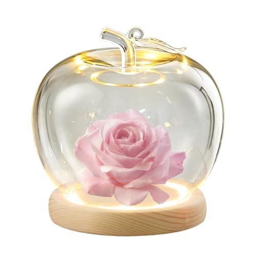 Cúpula de cristal antipolvo de 20cm para proteger figuras con iluminación LED 2