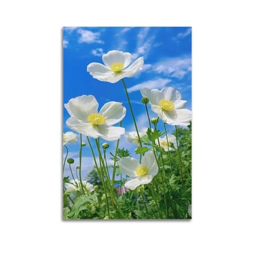 Poster coquelicots blancs ciel bleu 60x90cm de decoration