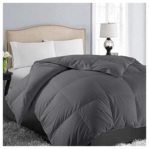 EASELAND All Season Queen Size Soft Quilted Down Alternative Comforter Hotel Collection Reversible Duvet Insert with Corner Tabs,Winter Warm Fluffy Hypoallergenic,Dark Grey,88 by 88 Inches