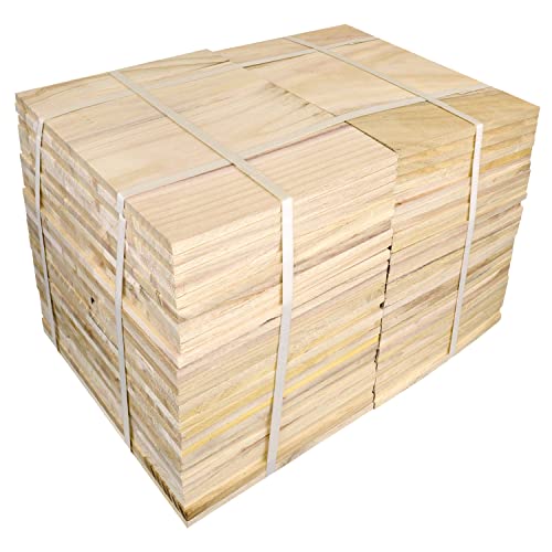 AAMA Martial Arts Taekwondo Karate Demonstration...