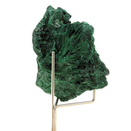 Malachite Katanga Congo 326.5 carats pierre brute collection lithothérapie - 2