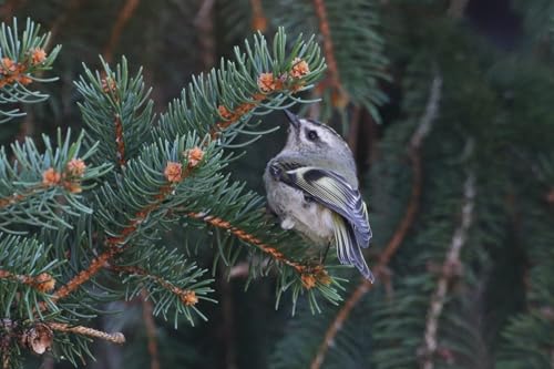 Episode 3 | Steady Focus