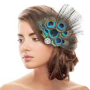 Pfau Kopfschmuck Haarspange,Pfau Haarschmuck,Feder Haarschmuck mit Strassbesatz,Pfauenfeder Haarreif,Karneval Kopfschmuck Damen,Pfau Kostüm für Carnival, Fancy Dress,Themenparty