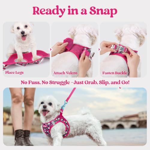 Image of rabbitgoo Dog Harness Medium Sized and Leash Set, Step-in Puppy Pet Vest