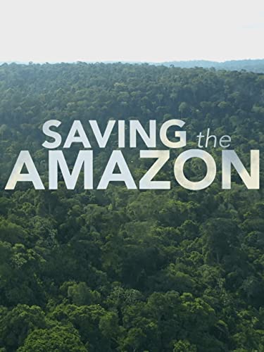  Saving the Amazon