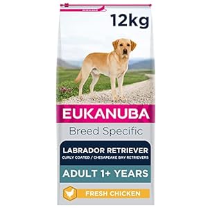 Eukanuba Complete Dry Dog Food for Adult Labrador Retriever Breed Types with Fresh Chicken 12 kg