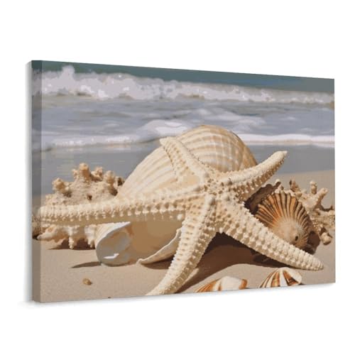 Toile de coquillages et étoile de mer 40x30cm pour raviver un mur blanc et terne