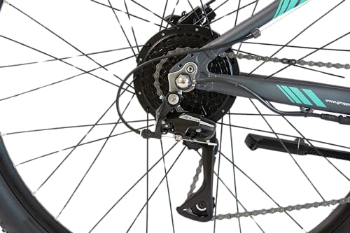 E-Bike F.lli Schiano E-Mercury 29 Zoll Mountainbike mit 250W Motor
