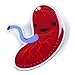 Placenta Lapel Pin Baby's First Roommate I Heart Guts