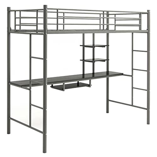 CASART Single Loft Bed, 2-Ladders High Sleeper Bunk Bed with Desk & Safety Guardrail, Metal Frame High Bed for Kids Teenagers Adults (Silvery Grey)