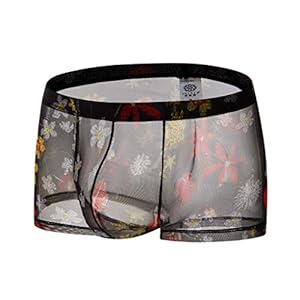 Sous-Vêtement Sexy En Résille pour Homme, Boxer Transparent En Maille, Lingerie Biniki Extensible Taille Basse, Culotte Creuse Chaude, Caleçon Amusant Transparent pour Costume D'Saint Valentin Noir
