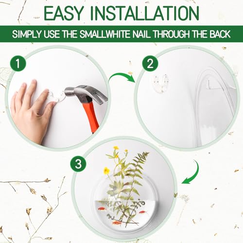 Image of DoubleFill 4 Pcs Wall Fish Tank wall Aquarium Hanging Fish Bowls 9in 6in Acrylic Fish Bubble Ecosphere Decor Fish Bubble Hanging Fish Bowl Clear Vase Flower Plant Pot