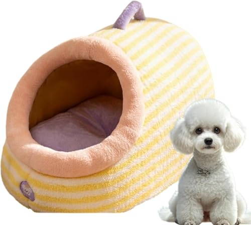 �yFameco�z�h�[���^�y�b�g�n�E�X �y�b�g�x�b�h �� �� ��^���E�L���p �����p �ʔN�Ή� �~�����΍� �ĒʋC �ӂ�ӂ� 4D �����O�x���A �N�b�V�����t�� �􂦂� ������t�� ������� �J�[�L (�C�G���[,S)