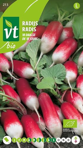 Semillas de rábano de 18 días - Rábano alargado