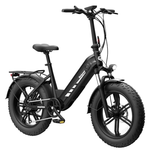 Bodywel F20Pro E Fatbike Herren Damen, 20x4.0” All Terrain E Bike Mountainbike, 48V 18Ah Akuu, 250W Heckmotor, 4,5“ LED Display, 7-Gang-Getriebe,