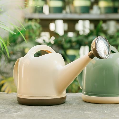 Regador de Plantas 4L, Aço Inoxidável, Bico Longo, Abertura Ampla, Design Moderno, Flores Internas e