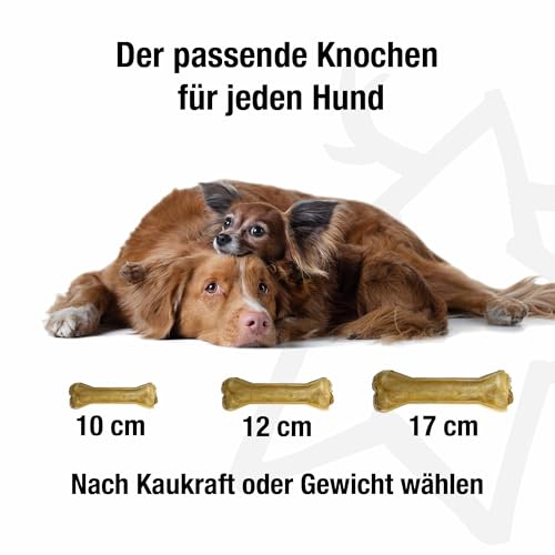 Kauknochen Hirsch pur, 1 x 17 cm | natürliche Kauartikel für Hunde | Monoprotein | Zahnpflege & Beschäftigung | Zutaten aus der EU | ohne Zusatzstoffe | hypoallergen | für Allergiker | 100% Hirsch