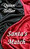 Santa's Match (Maitland Holidays Book 2) (English Edition)
