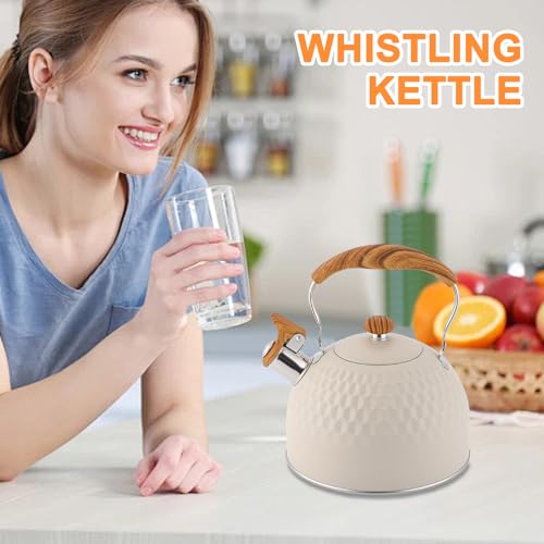 Fournitures de cuisine durables avec cette bouilloire sifflante en acier robuste - 3
