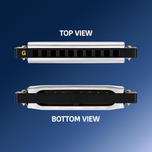 Image of ARCTIC G Key 10-Hole 20-Tone Diatonic Harmonica With Case & Cloth - Silver | Excellent Airtightness, Smooth Airflow, Clear Bright Tone, ABS Comb, Brass Reeds