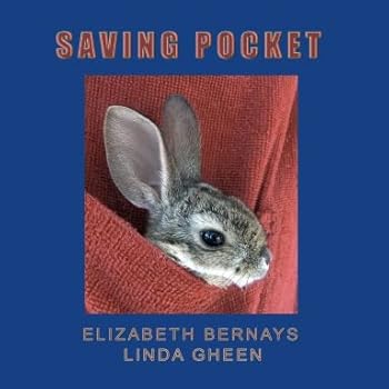 Paperback Saving Pocket Book