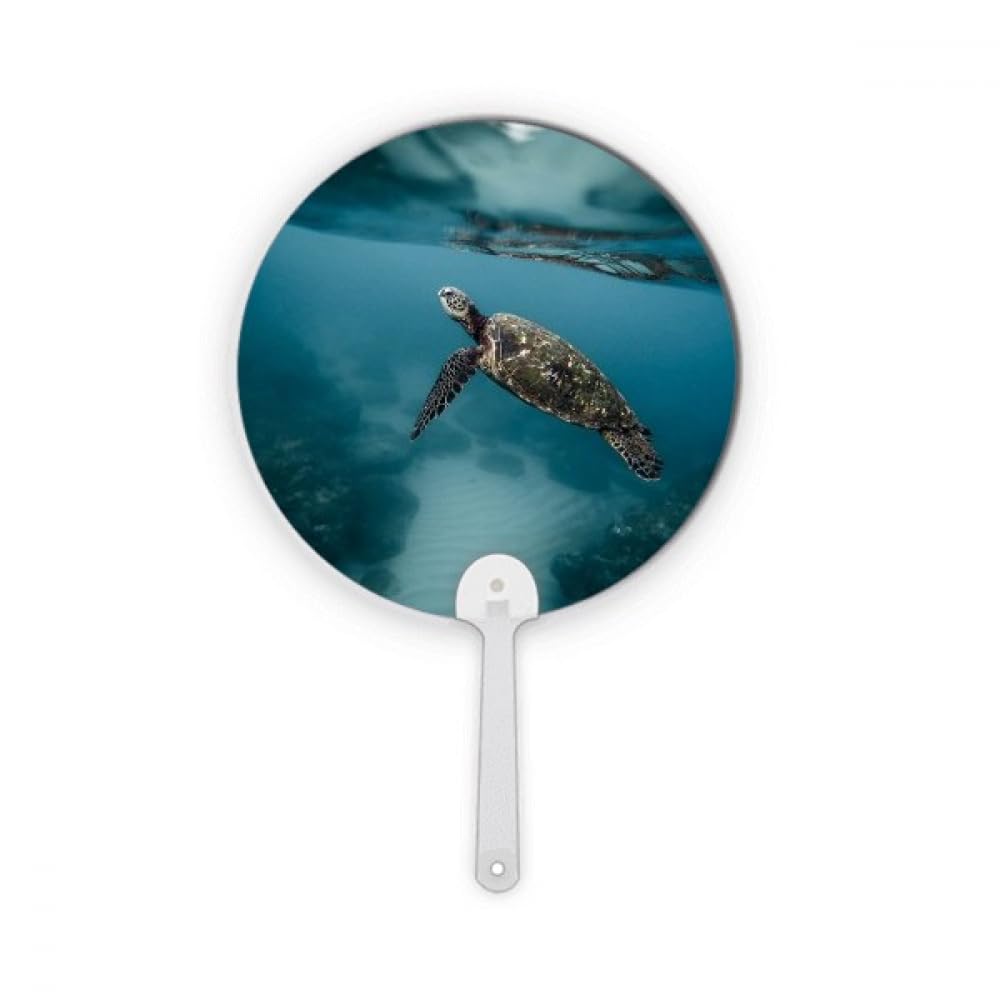 Éventail rond plastique tortue marine accessoire de poche été