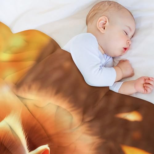 Couverture écureuil mignon plaid idéal pour soirées cocooning - 5