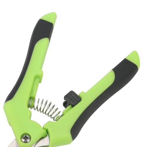 ZEONHAK 12 PCS 6.5 Inch Green Bud Trimming Scissors, Stainless Steel Bud Trim Scissors, Straight Tip Gardening Pruning Shears Pruners for Gardening 4 ZEONHAK 12 PCS 6.5 Inch Green Bud Trimming Scissors, Stainless Steel Bud Trim Scissors, Straight Tip Gardening Pruning Shears Pruners for Gardening - Image 4