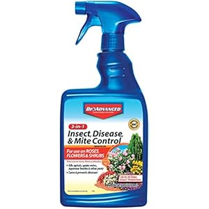 BIOADVANCED 701290B Insecticide Fungicide Miticide Ready-to-Use, 24 Ounce