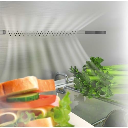 HISENSE RB440N4ACD FRIGORIFERO COMBINATO - 7