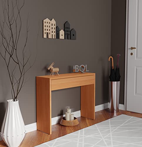 Buyqualia Recibidor Entrada con Consola de un cajón (Cerezo)