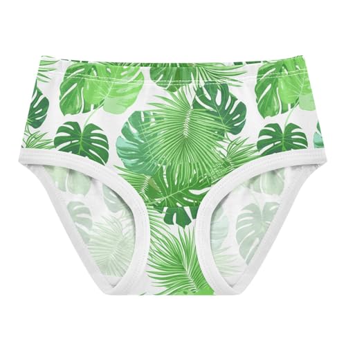 Tropical Monstera Palm Leaves Toddler Girls's Underwear 2T 202c1906